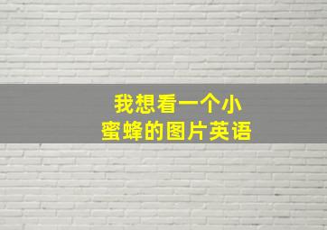 我想看一个小蜜蜂的图片英语