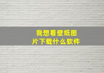 我想看壁纸图片下载什么软件