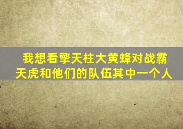 我想看擎天柱大黄蜂对战霸天虎和他们的队伍其中一个人