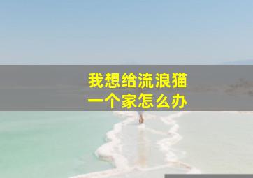 我想给流浪猫一个家怎么办