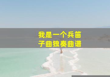 我是一个兵笛子曲独奏曲谱