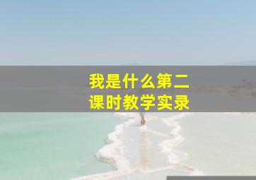 我是什么第二课时教学实录