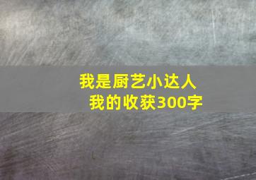 我是厨艺小达人我的收获300字