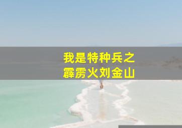 我是特种兵之霹雳火刘金山