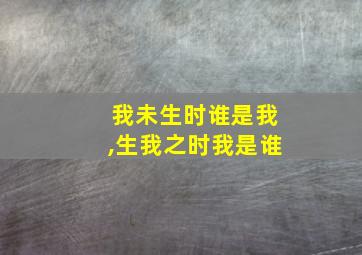 我未生时谁是我,生我之时我是谁