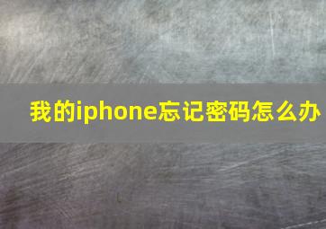 我的iphone忘记密码怎么办