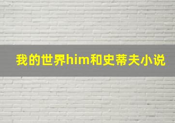 我的世界him和史蒂夫小说