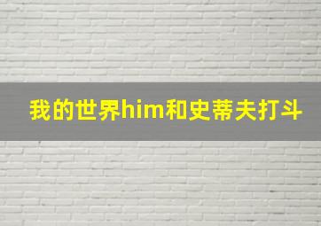 我的世界him和史蒂夫打斗