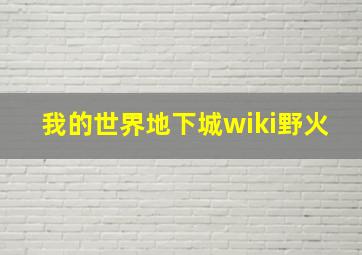 我的世界地下城wiki野火