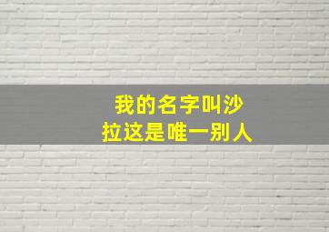 我的名字叫沙拉这是唯一别人