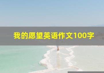 我的愿望英语作文100字