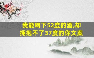 我能喝下52度的酒,却拥抱不了37度的你文案