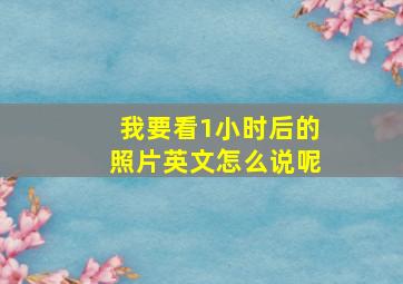 我要看1小时后的照片英文怎么说呢