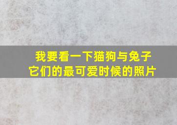 我要看一下猫狗与兔子它们的最可爱时候的照片