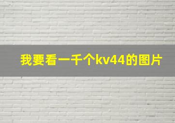 我要看一千个kv44的图片