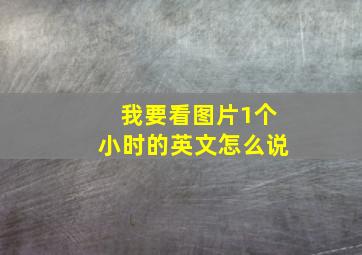 我要看图片1个小时的英文怎么说