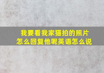 我要看我家猫拍的照片怎么回复他呢英语怎么说