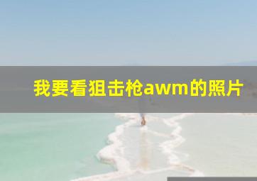 我要看狙击枪awm的照片