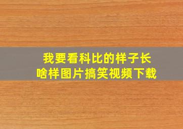 我要看科比的样子长啥样图片搞笑视频下载