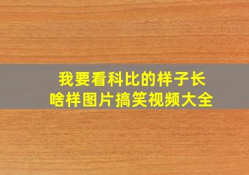 我要看科比的样子长啥样图片搞笑视频大全