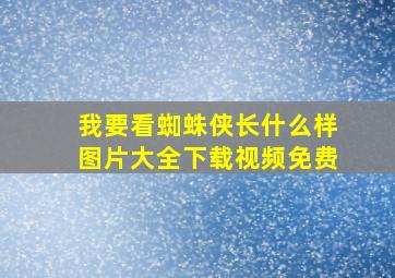 我要看蜘蛛侠长什么样图片大全下载视频免费