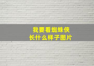 我要看蜘蛛侠长什么样子图片