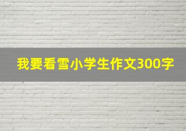 我要看雪小学生作文300字