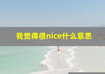 我觉得很nice什么意思