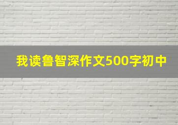 我读鲁智深作文500字初中