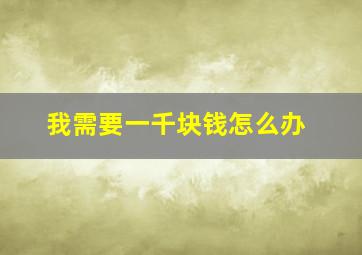 我需要一千块钱怎么办