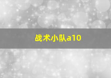 战术小队a10