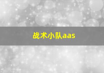 战术小队aas