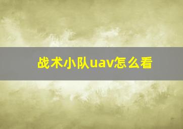 战术小队uav怎么看