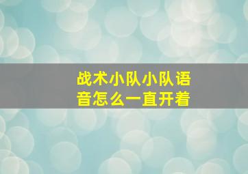 战术小队小队语音怎么一直开着