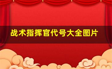 战术指挥官代号大全图片