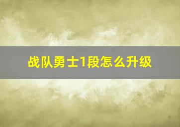 战队勇士1段怎么升级