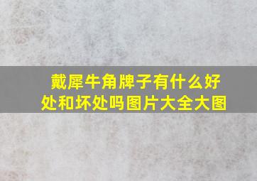 戴犀牛角牌子有什么好处和坏处吗图片大全大图