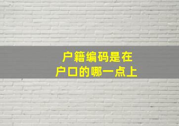 户籍编码是在户口的哪一点上