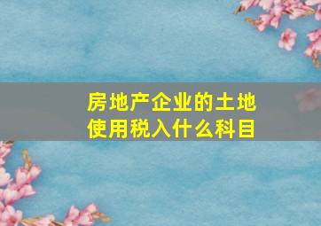 房地产企业的土地使用税入什么科目