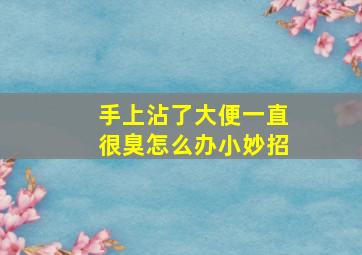 手上沾了大便一直很臭怎么办小妙招