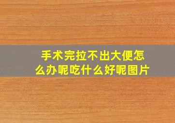 手术完拉不出大便怎么办呢吃什么好呢图片