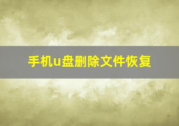 手机u盘删除文件恢复