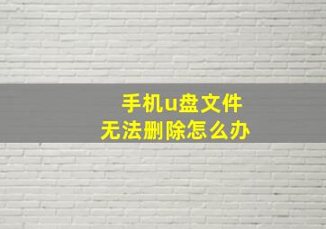 手机u盘文件无法删除怎么办