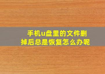 手机u盘里的文件删掉后总是恢复怎么办呢