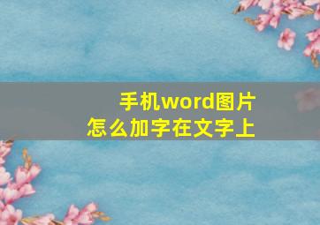 手机word图片怎么加字在文字上