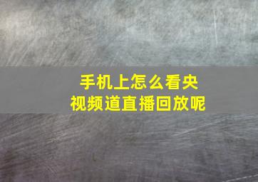 手机上怎么看央视频道直播回放呢