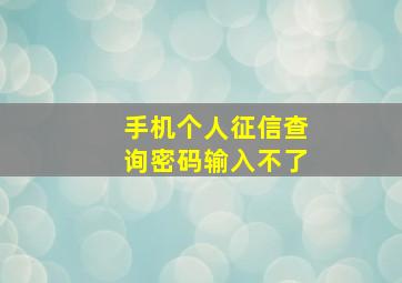 手机个人征信查询密码输入不了