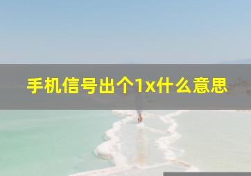 手机信号出个1x什么意思