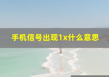 手机信号出现1x什么意思