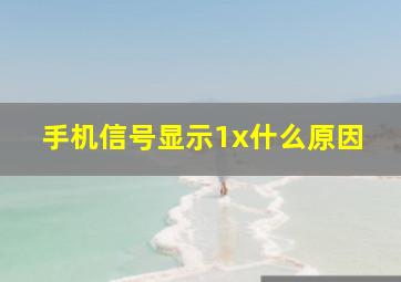 手机信号显示1x什么原因